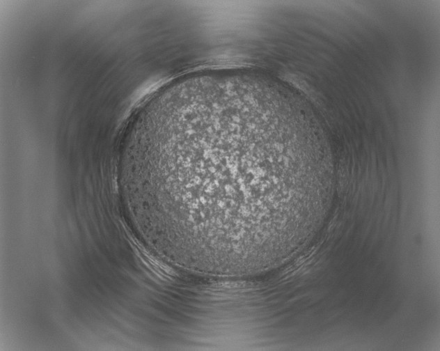 X0000056351451200509091544