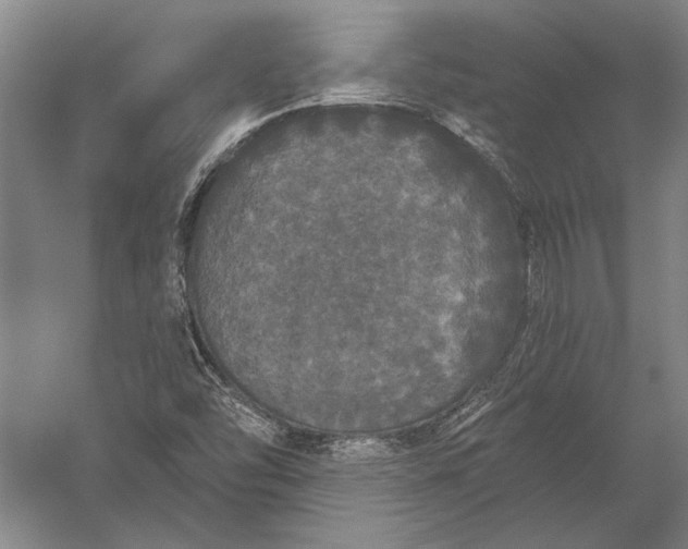 X0000056351454200509091544