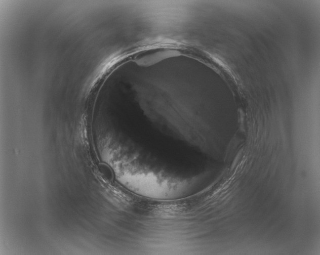 X0000056351455200509091544