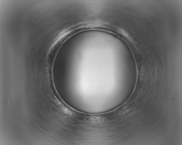 X0000056351456200509091544