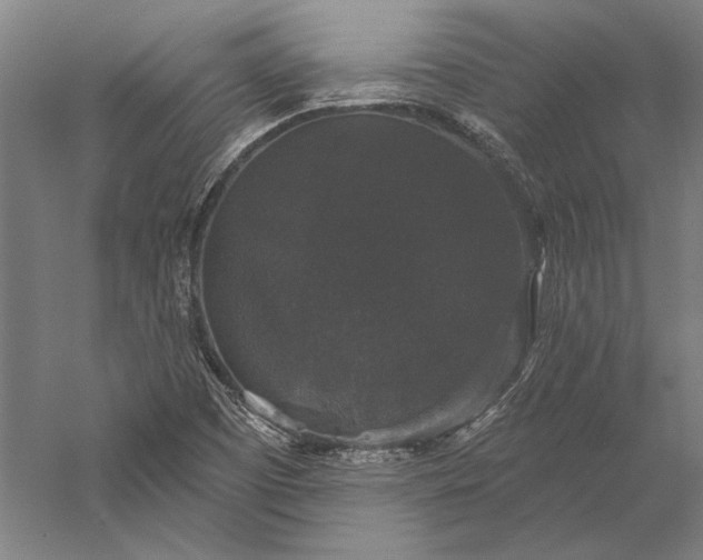 X0000056351457200509091544