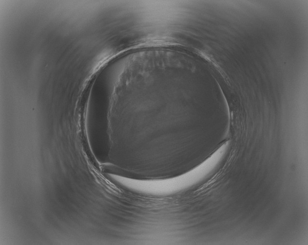 X0000056351459200509091544