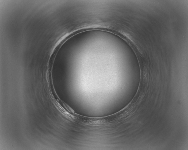 X0000056351460200509091544