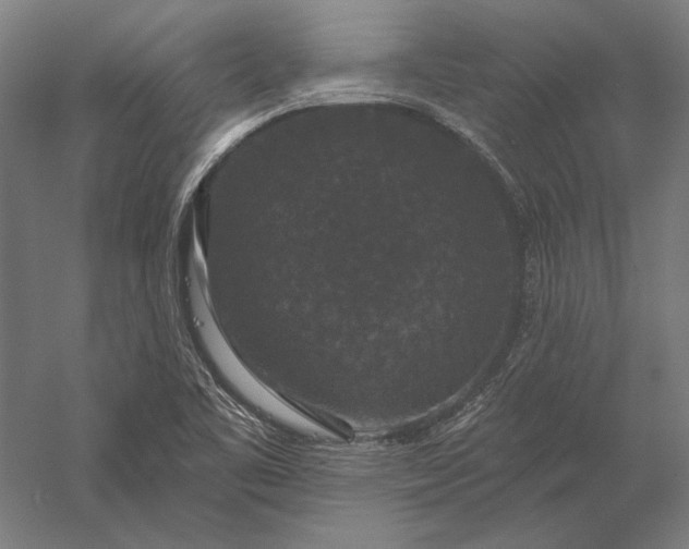 X0000056351461200509091544