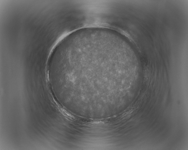 X0000056351462200509091544