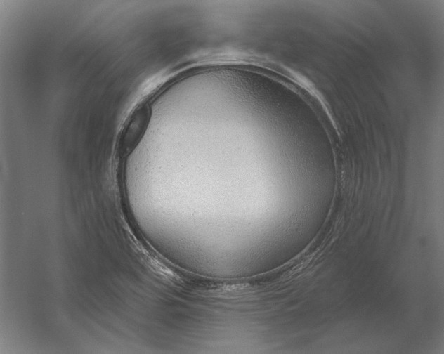 X0000056351464200509091543