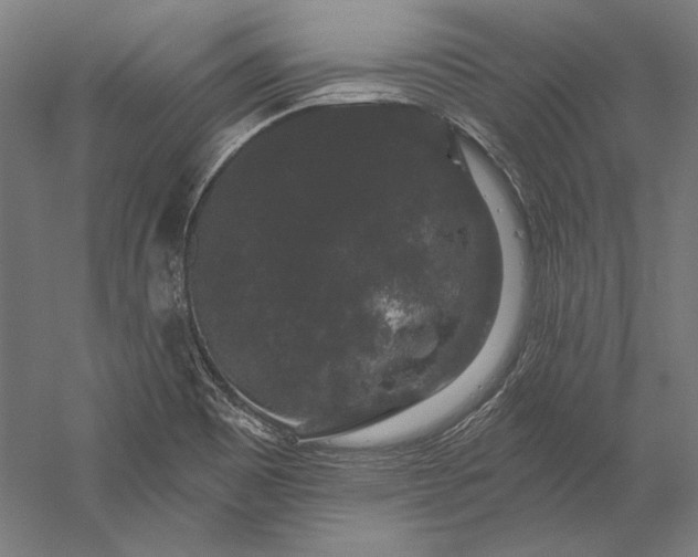 X0000056351465200509091543