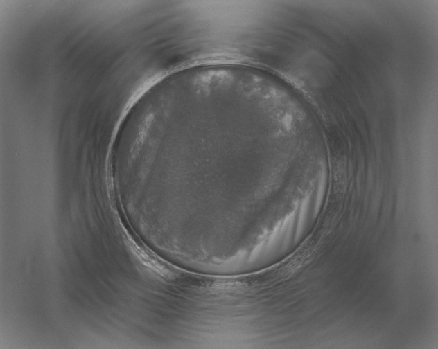 X0000056351466200509091543