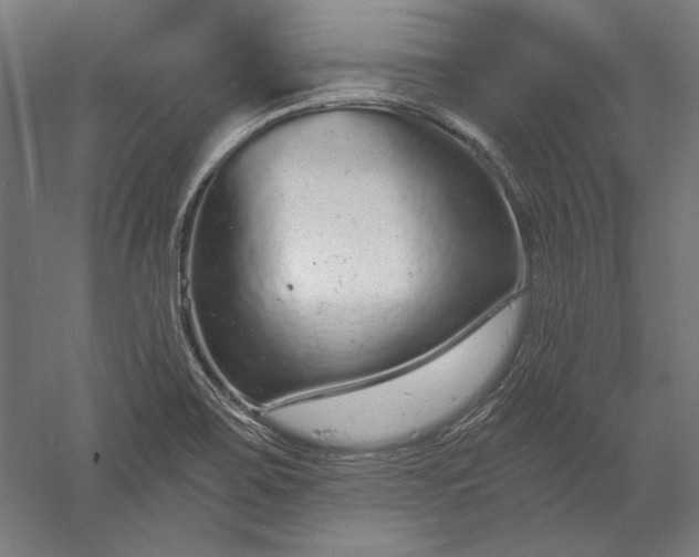 X0000056351467200509091543