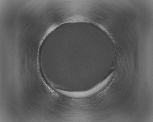 X0000056351469200509091543