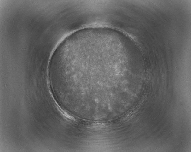 X0000056351470200509091543