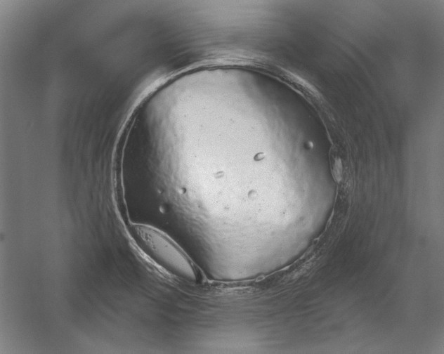 X0000056351471200509091543