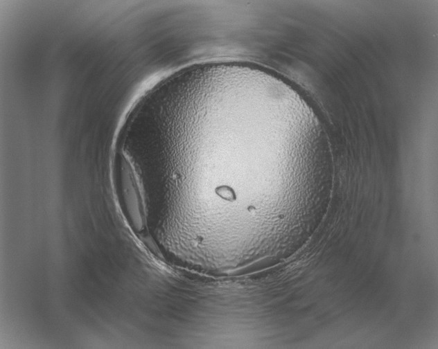 X0000056351472200509091543