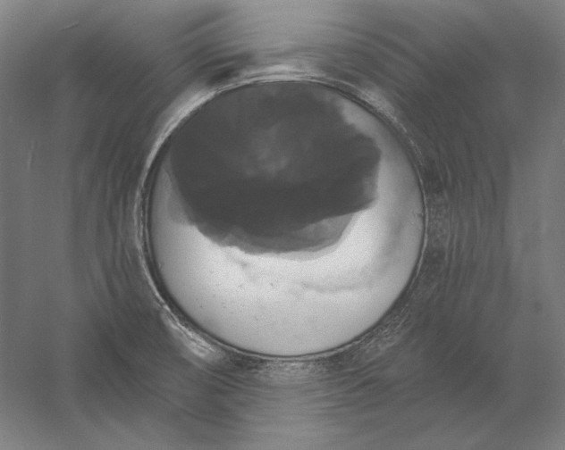 X0000056351474200509091543