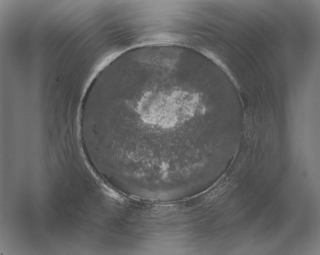 X0000056351477200509091543