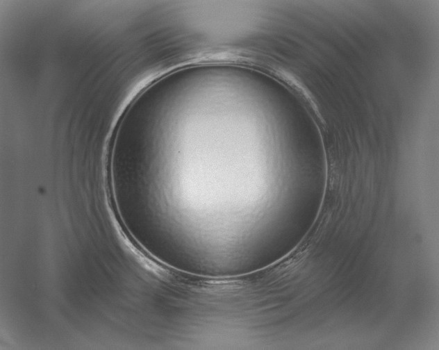 X0000056351483200509091543