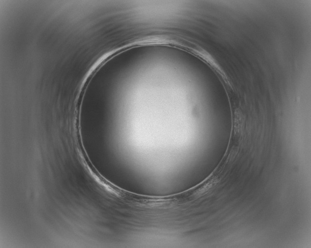 X0000056351484200509091543