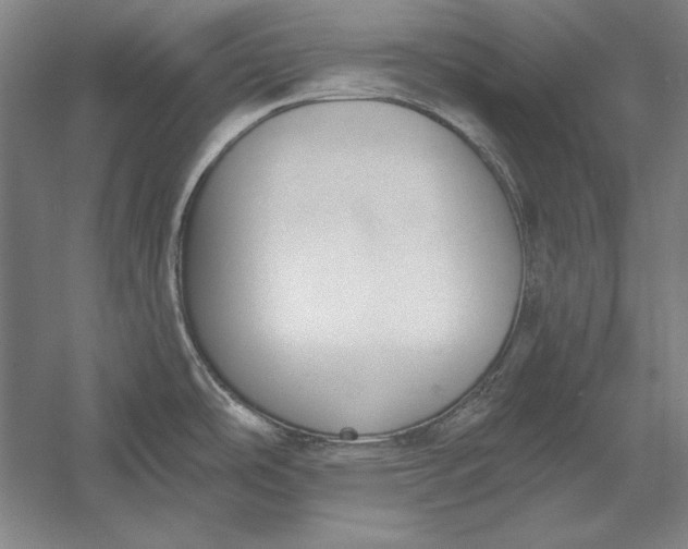 X0000056351486200509091543