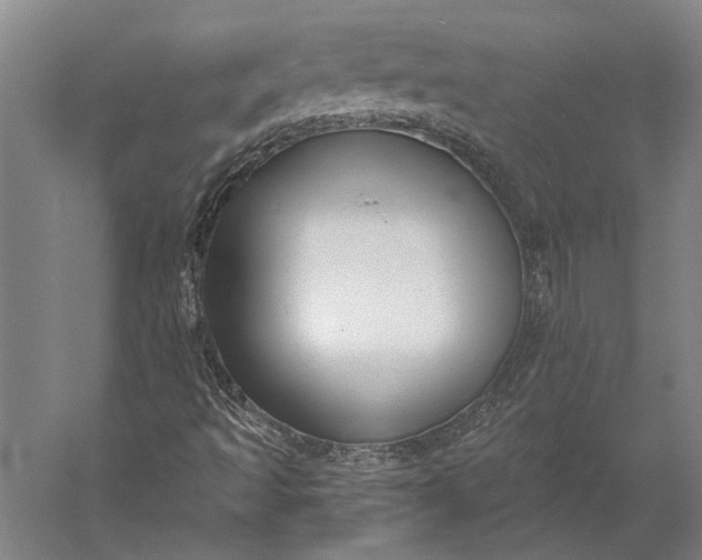 X0000056351493200509091542