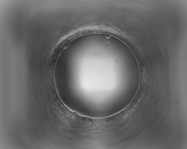 X0000056351494200509091542