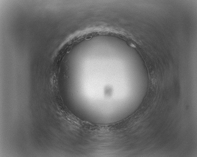 X0000056351495200509091542