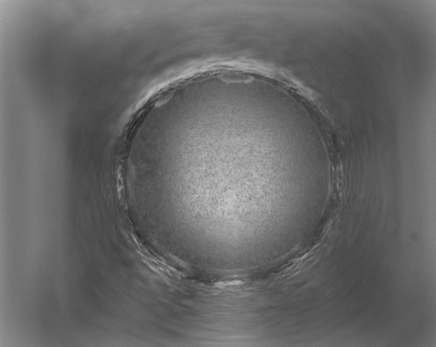 X0000056351496200509091542