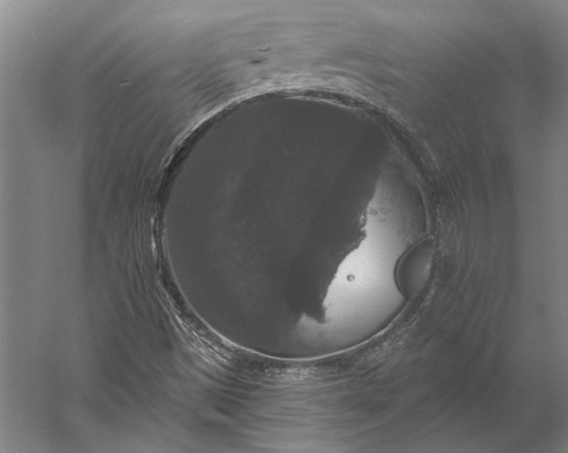 X0000056351497200509091542