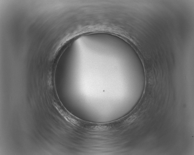 X0000056351499200509091542