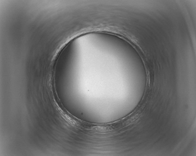 X0000056351500200509091542