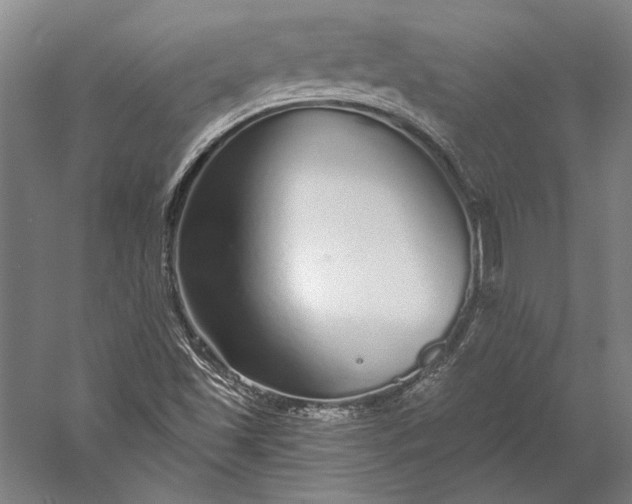 X0000056351501200509091542