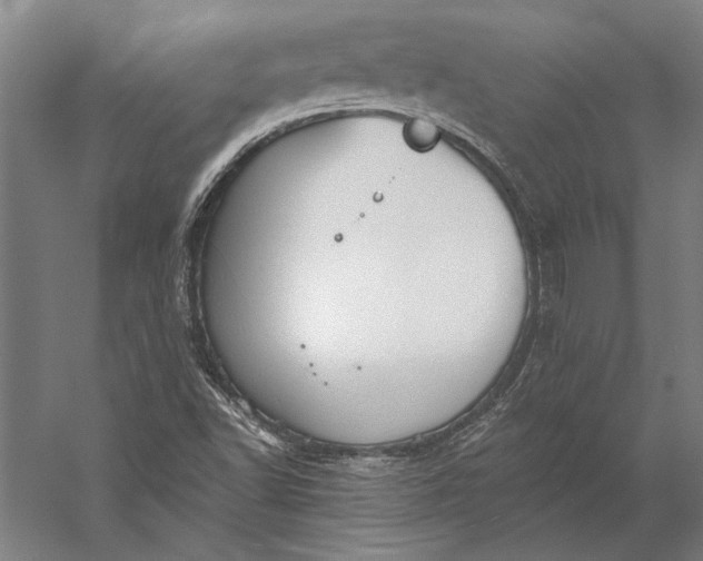 X0000056351502200509091542