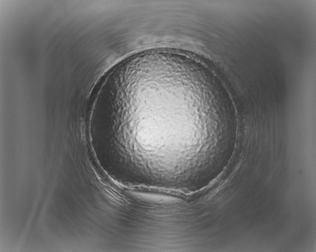 X0000056351505200509091543