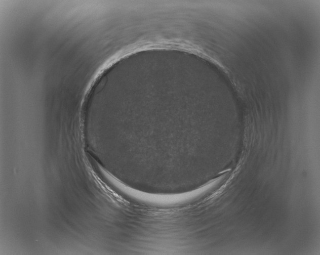 X0000056351506200509091543