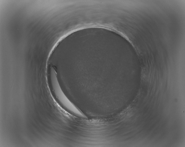 X0000056351508200509091543