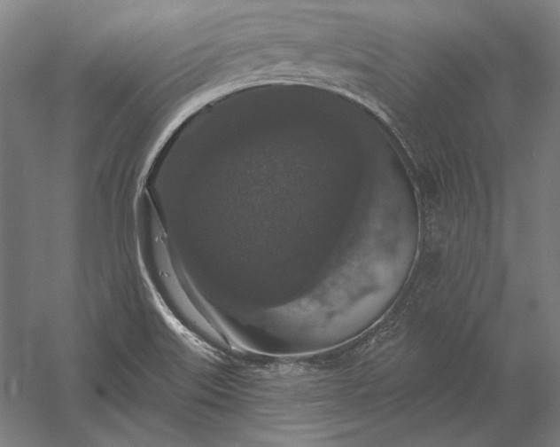 X0000056351515200509091543