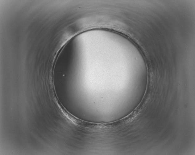 X0000056351521200509091543