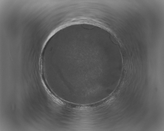 X0000056351522200509091543