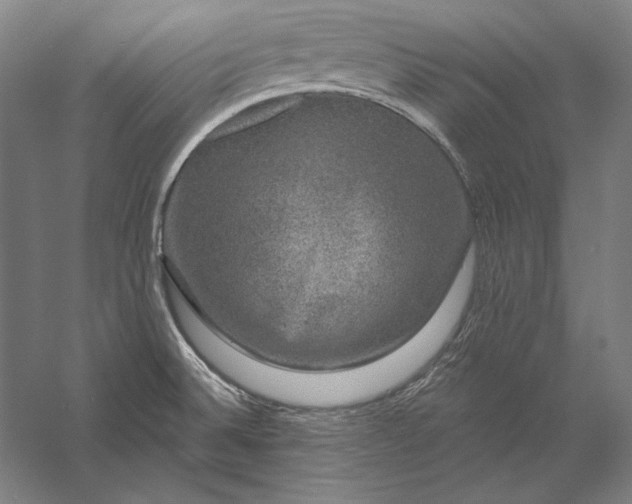 X0000056351524200509091543