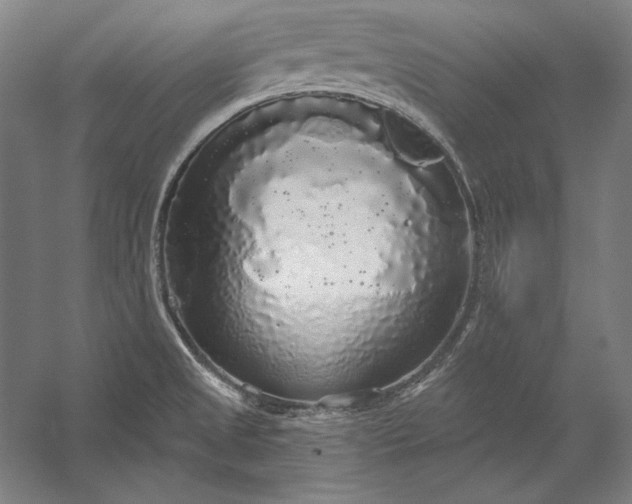 X0000056351525200509091543