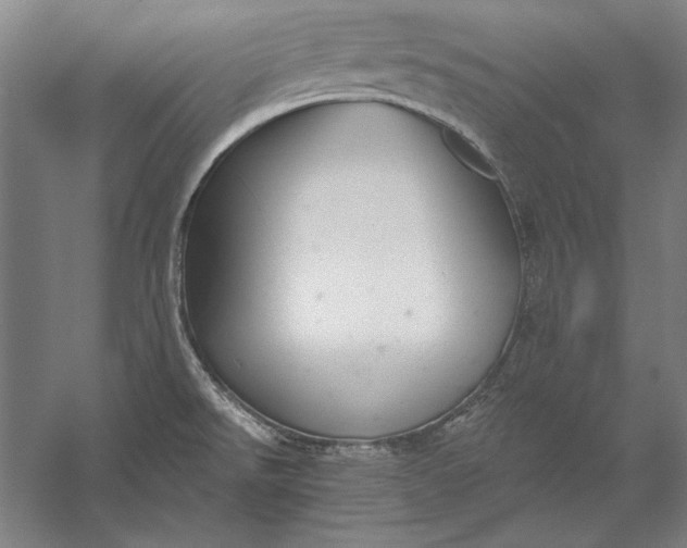 X0000056351526200509091543