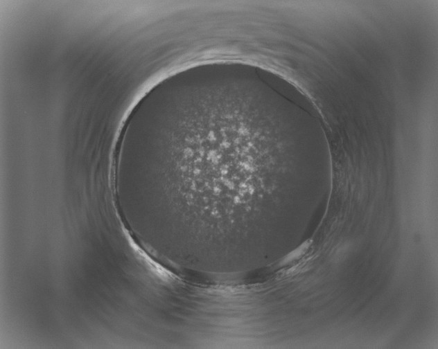 X0000056351527200509091543