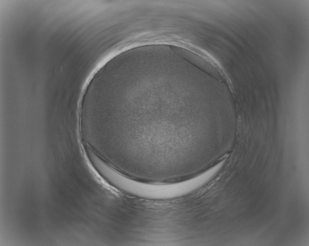 X0000056351528200509091543