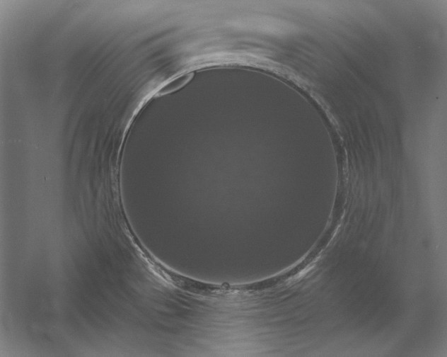 X0000056351529200509091543