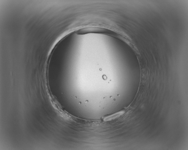 X0000056351530200509091543