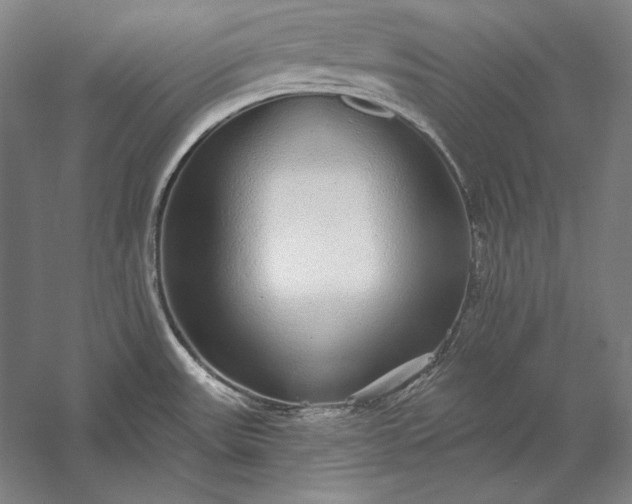 X0000056351531200509091543