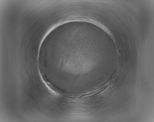 X0000056351536200509091543