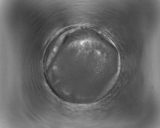 X0000056350002200509161814