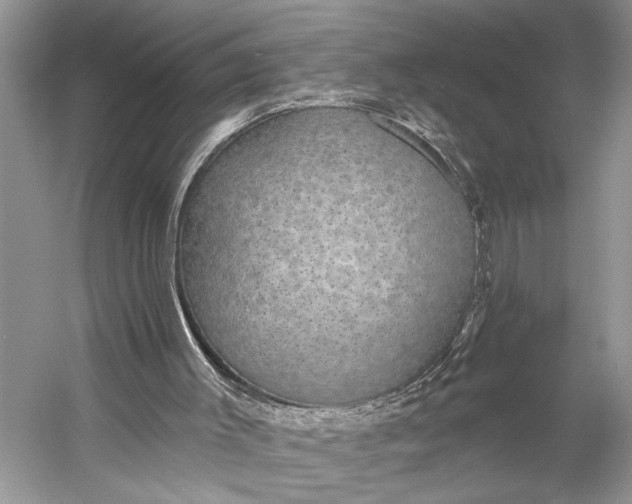 X0000056350003200509161814