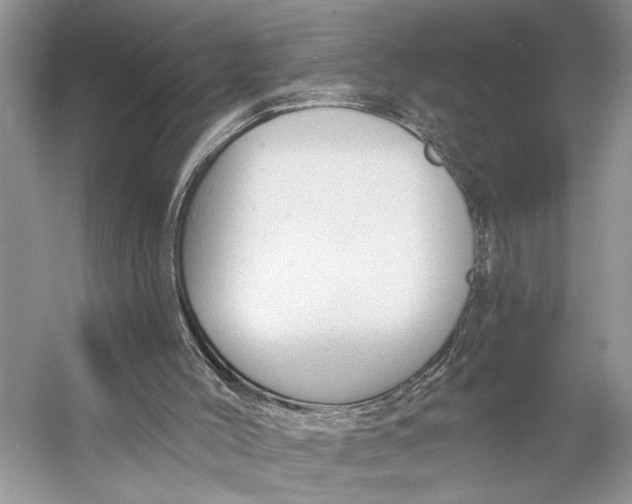 X0000056350004200509161814