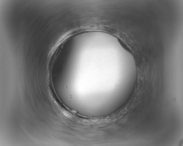 X0000056350005200509161814